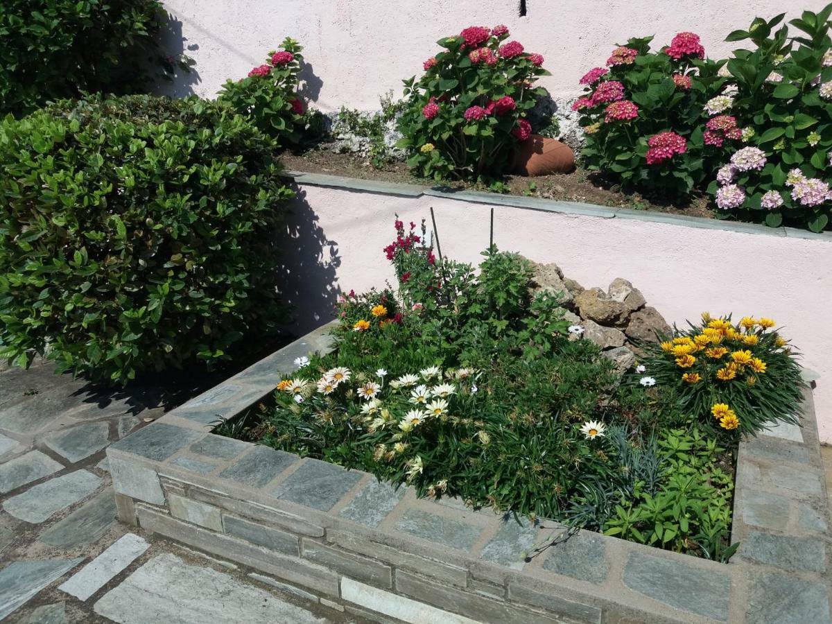 Tsagarada Cottage מראה חיצוני תמונה
